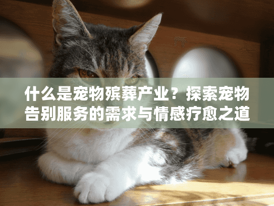 什么是宠物殡葬产业？探索宠物告别服务的需求与情感疗愈之道