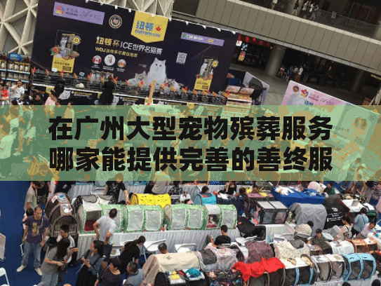 在广州大型宠物殡葬服务哪家能提供完善的善终服务？