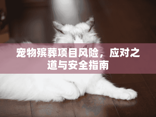 宠物殡葬项目风险，应对之道与安全指南