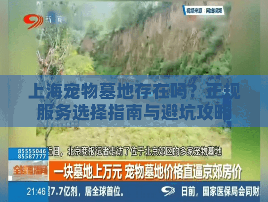 上海宠物墓地存在吗？正规服务选择指南与避坑攻略