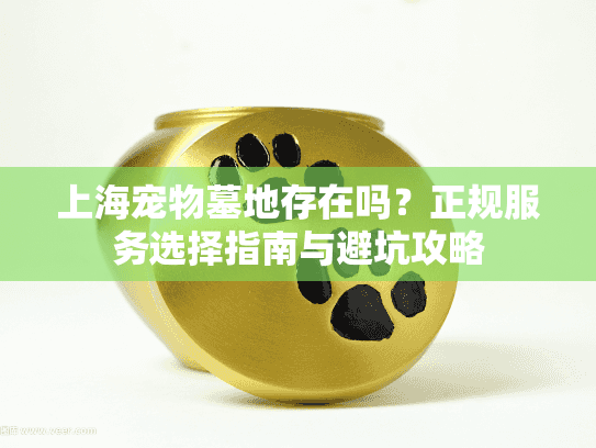 上海宠物墓地存在吗？正规服务选择指南与避坑攻略