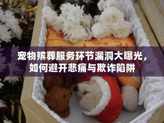 宠物殡葬服务环节漏洞大曝光，如何避开悲痛与欺诈陷阱