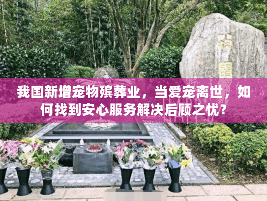我国新增宠物殡葬业，当爱宠离世，如何找到安心服务解决后顾之忧？