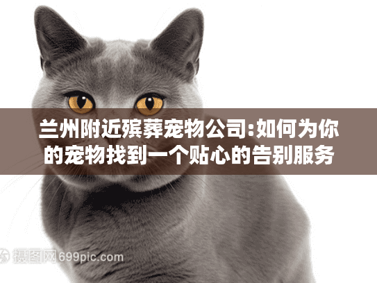兰州附近殡葬宠物公司:如何为你的宠物找到一个贴心的告别服务