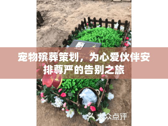 宠物殡葬策划，为心爱伙伴安排尊严的告别之旅