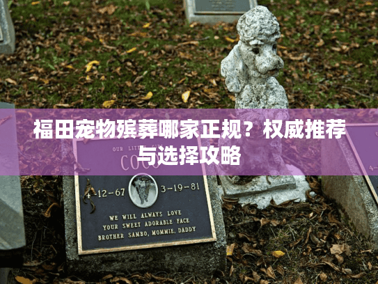 福田宠物殡葬哪家正规？权威推荐与选择攻略