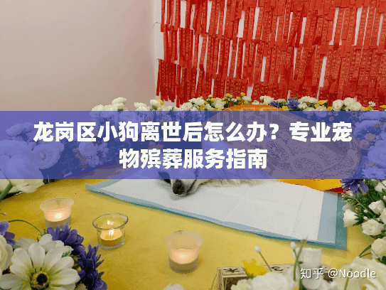 龙岗区小狗离世后怎么办？专业宠物殡葬服务指南