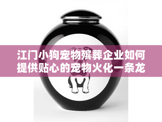 江门小狗宠物殡葬企业如何提供贴心的宠物火化一条龙服务？