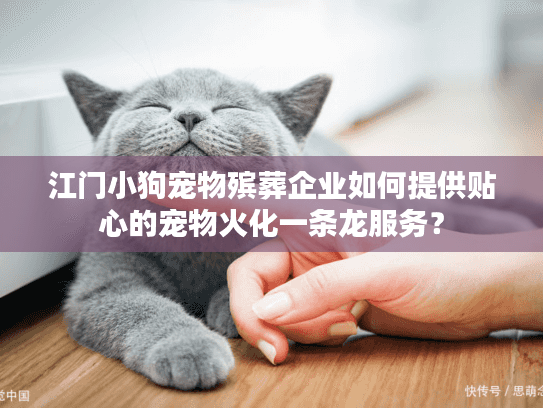 江门小狗宠物殡葬企业如何提供贴心的宠物火化一条龙服务？