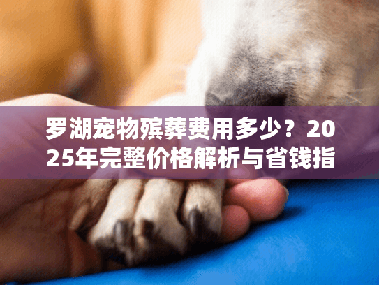 罗湖宠物殡葬费用多少？2025年完整价格解析与省钱指南