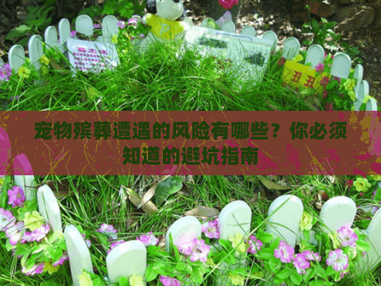 宠物殡葬遭遇的风险有哪些？你必须知道的避坑指南