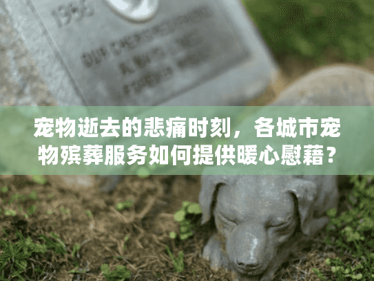 宠物逝去的悲痛时刻，各城市宠物殡葬服务如何提供暖心慰藉？