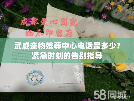 武威宠物殡葬中心电话是多少?紧急时刻的告别指导