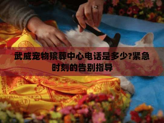 武威宠物殡葬中心电话是多少?紧急时刻的告别指导