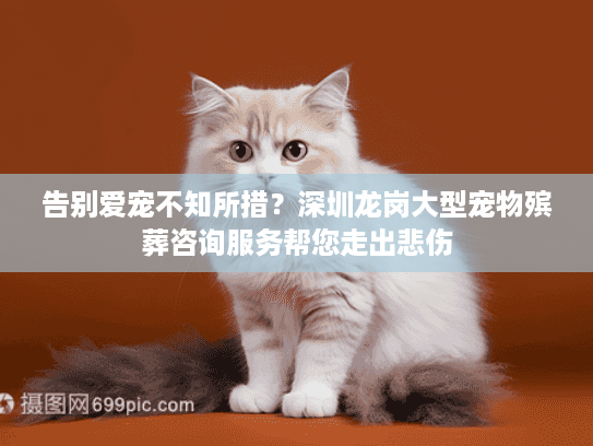 告别爱宠不知所措？深圳龙岗大型宠物殡葬咨询服务帮您走出悲伤