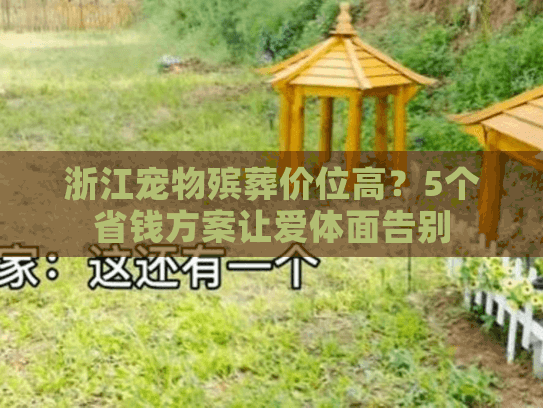 浙江宠物殡葬价位高？5个省钱方案让爱体面告别