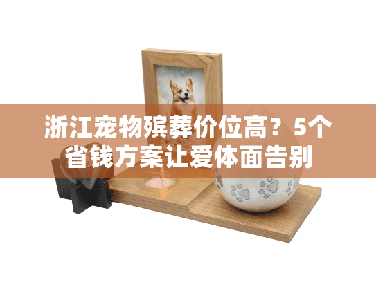 浙江宠物殡葬价位高？5个省钱方案让爱体面告别