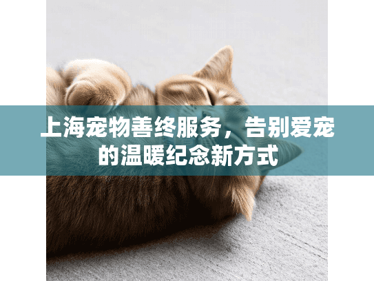上海宠物善终服务，告别爱宠的温暖纪念新方式