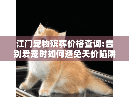 江门宠物殡葬价格查询:告别爱宠时如何避免天价陷阱？