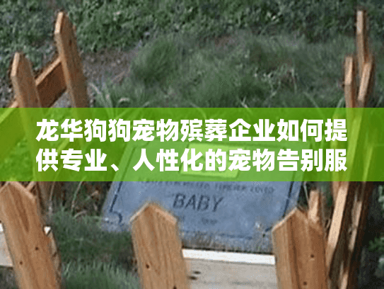 龙华狗狗宠物殡葬企业如何提供专业、人性化的宠物告别服务？