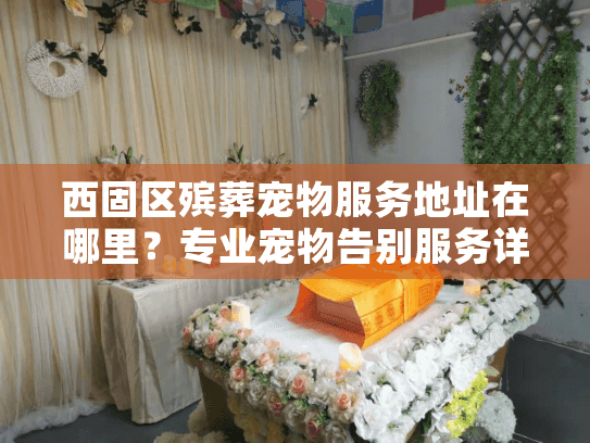 西固区殡葬宠物服务地址在哪里？专业宠物告别服务详解