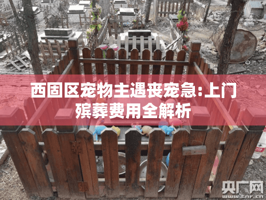西固区宠物主遇丧宠急:上门殡葬费用全解析