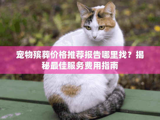 宠物殡葬价格推荐报告哪里找？揭秘最佳服务费用指南