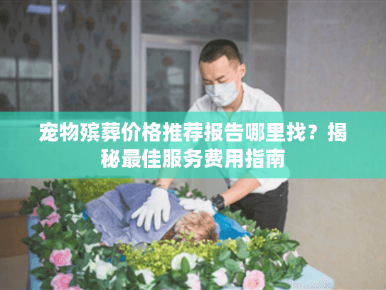 宠物殡葬价格推荐报告哪里找？揭秘最佳服务费用指南