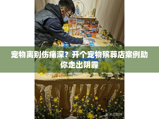 宠物离别伤痛深？开个宠物殡葬店案例助你走出阴霾