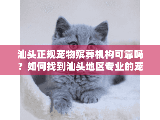 汕头正规宠物殡葬机构可靠吗？如何找到汕头地区专业的宠物身后服务？