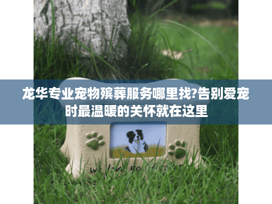 龙华专业宠物殡葬服务哪里找?告别爱宠时最温暖的关怀就在这里