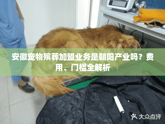 安徽宠物殡葬加盟业务是朝阳产业吗？费用、门槛全解析