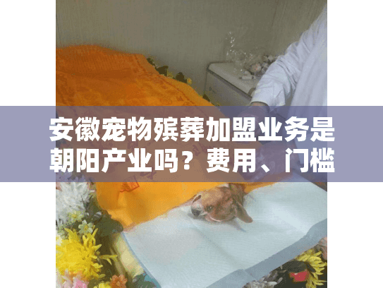 安徽宠物殡葬加盟业务是朝阳产业吗？费用、门槛全解析