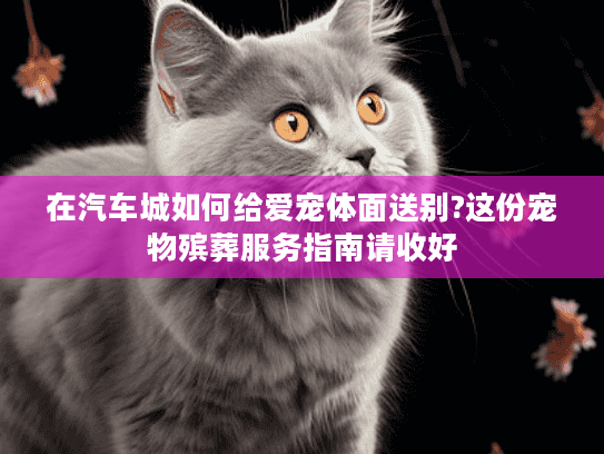 在汽车城如何给爱宠体面送别?这份宠物殡葬服务指南请收好