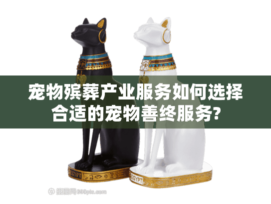 宠物殡葬产业服务如何选择合适的宠物善终服务?