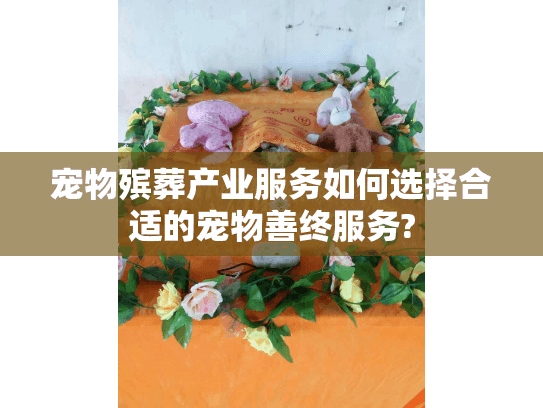 宠物殡葬产业服务如何选择合适的宠物善终服务?