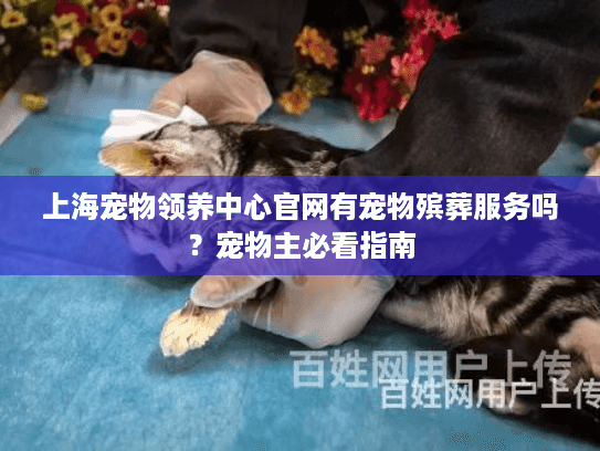 上海宠物领养中心官网有宠物殡葬服务吗？宠物主必看指南