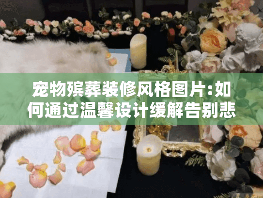 宠物殡葬装修风格图片:如何通过温馨设计缓解告别悲伤