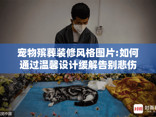 宠物殡葬装修风格图片:如何通过温馨设计缓解告别悲伤