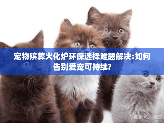 宠物殡葬火化炉环保选择难题解决:如何告别爱宠可持续?