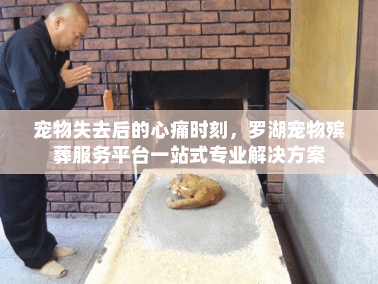 宠物失去后的心痛时刻，罗湖宠物殡葬服务平台一站式专业解决方案