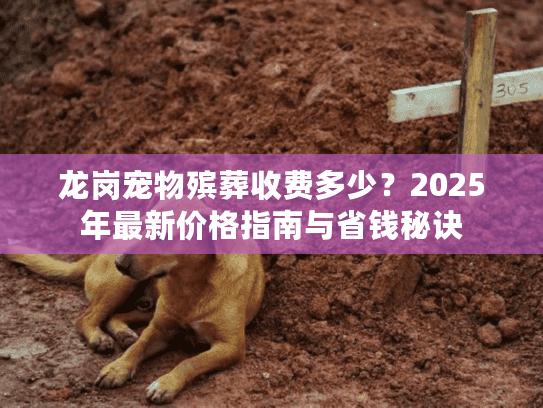 龙岗宠物殡葬收费多少？2025年最新价格指南与省钱秘诀