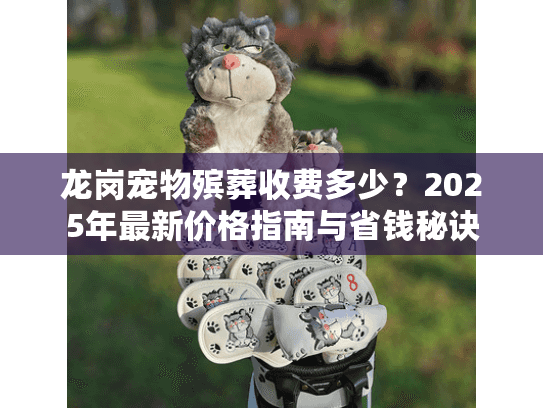 龙岗宠物殡葬收费多少？2025年最新价格指南与省钱秘诀