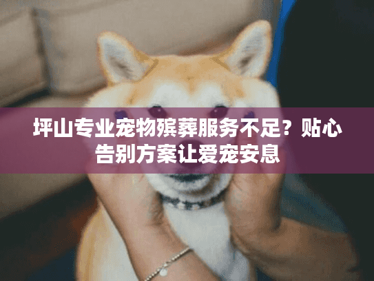 坪山专业宠物殡葬服务不足？贴心告别方案让爱宠安息
