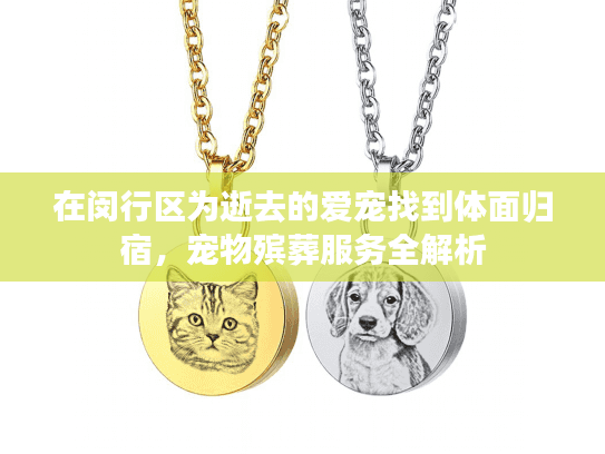 在闵行区为逝去的爱宠找到体面归宿，宠物殡葬服务全解析