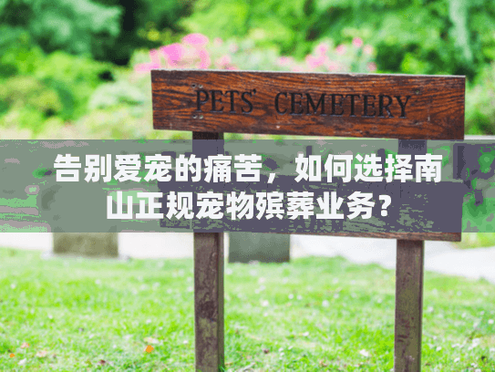 告别爱宠的痛苦，如何选择南山正规宠物殡葬业务？