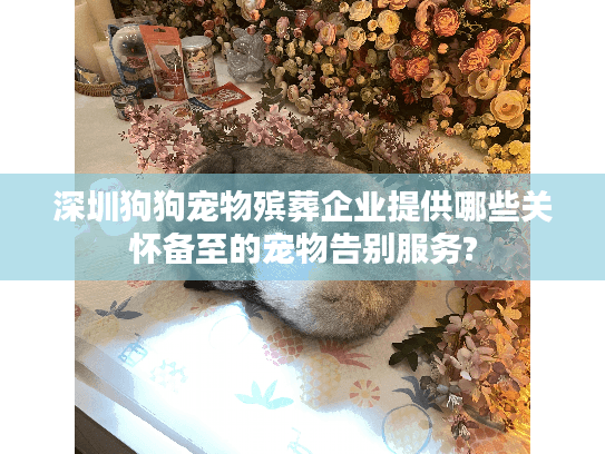 深圳狗狗宠物殡葬企业提供哪些关怀备至的宠物告别服务?