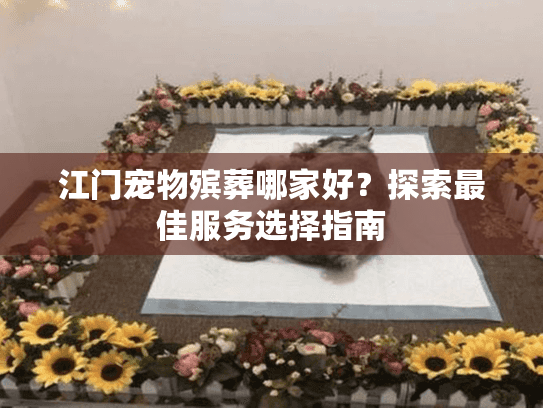 江门宠物殡葬哪家好？探索最佳服务选择指南