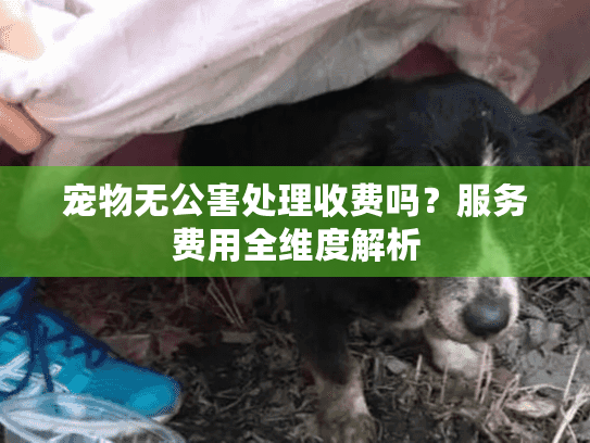 宠物无公害处理收费吗？服务费用全维度解析