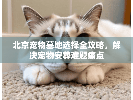 北京宠物墓地选择全攻略，解决宠物安葬难题痛点